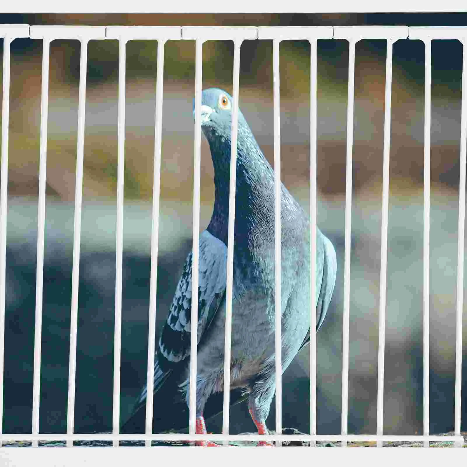 

Pigeon Cage Door Bird Cages for Cockatiels Racing Door Entrance Parrot Car Iron Pet