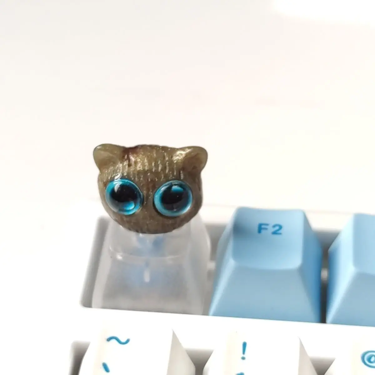 

Resin kitten animal mini cute cat avatar mechanical keyboard personalized keycap fog