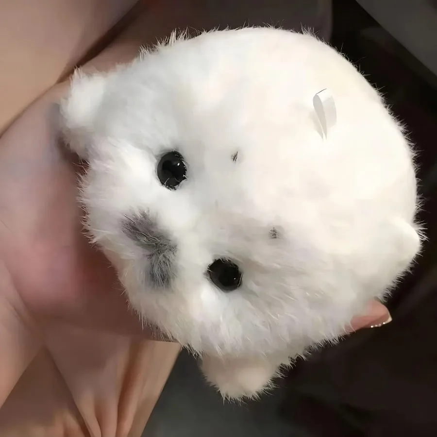 

Seal Stuffed Animal Cute Small Soft Realistic Pendants Sea Stuffed Animals for Girlfriend Children Women Kids Boys Girls Youth
