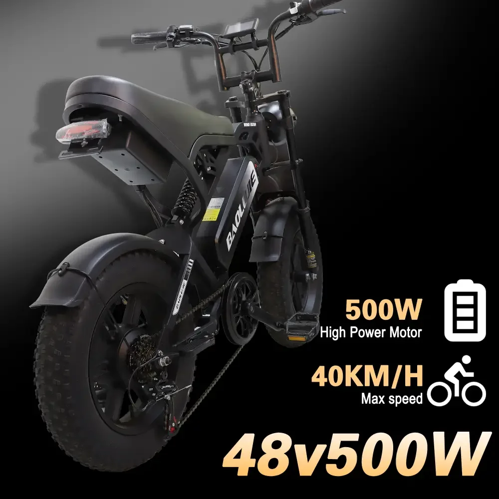 BAOLUJIE F2 bicicleta eléctrica para adultos 500W Motor 48V13AH batería bicicleta eléctrica freno hidráulico 16 "* 4" neumático ancho E-bike UL2849