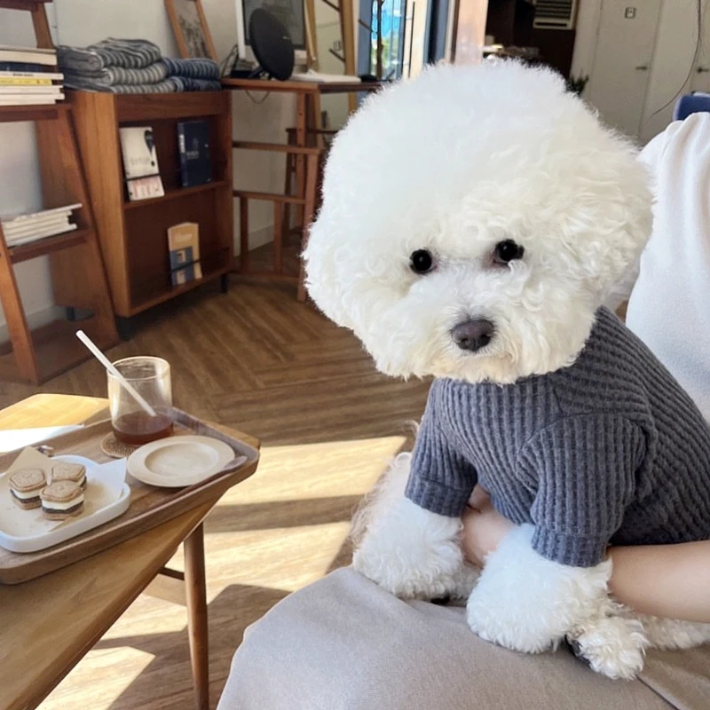 Winter Waffle Underlay Shirt Compared to Bear Solid Two legged Clothes Dog Warm Clothes Pet Soft Pullover Beautiful Dog Clothes