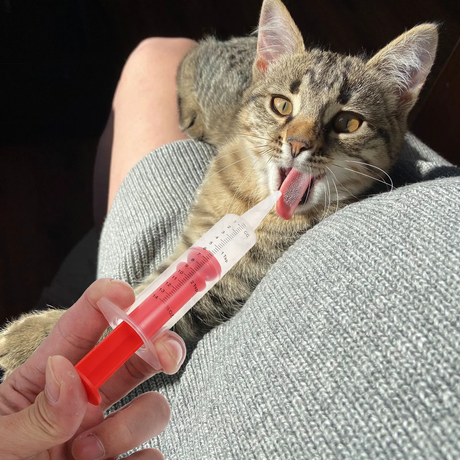 

2Sets Pet Pill Feeders Wear-Resistant Pet Oral Syringes for Cats and Dogs Convenient Medicine Delivery Tool for Daily Care