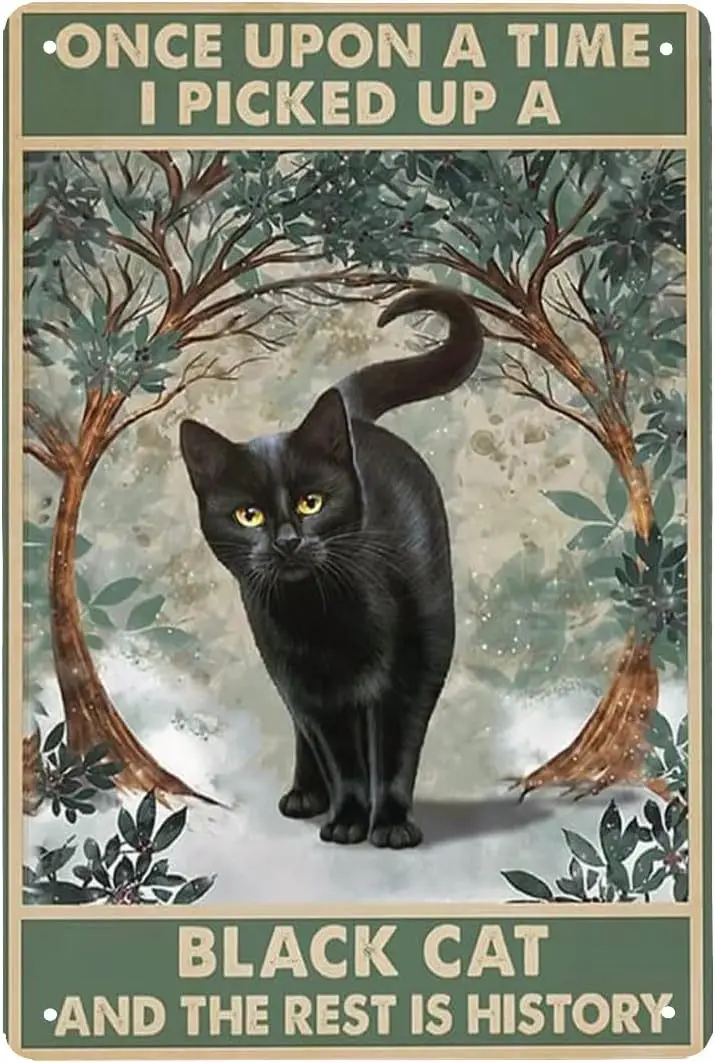 Grilses Vintage Metal Tin Sign Once Upon a Time I Picked Up a Black Cat and The Rest is History Retro Metal Tin Sign for Home Co