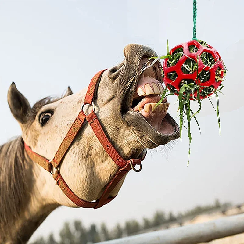 Alimentador de heno para caballos, bola colgante de alimentación para caballos, cabras y ovejas, para aliviar el estrés, 2 piezas