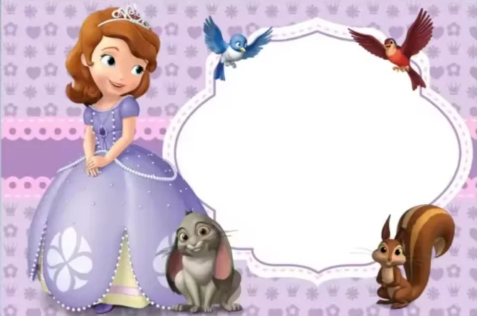 خلفية التصوير الفوتوغرافي صوفيا الأميرة الفتيات حفلة عيد ميلاد خلفية غرفة نوم الديكور راية استحمام الطفل لاستوديو الصور