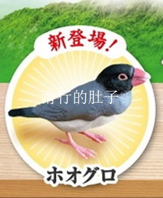 SHINE-G Japon Gashapon Figure Mignon Kawaii Mannikin Oiseau Chickadees Titmouse Figurine Anime Gachapon Capsule Jouets Décor De Bureau