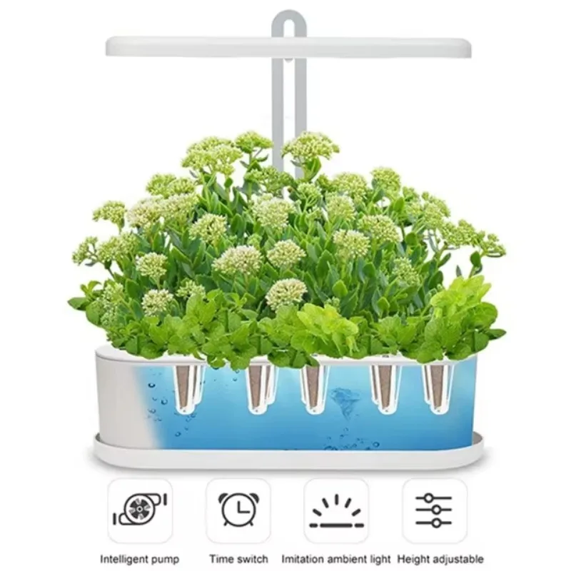 Grow Box Indoor Herb Vegetables and Fruit at Home Automatic Timer Height Adjustable Hydroponic Growing Systems