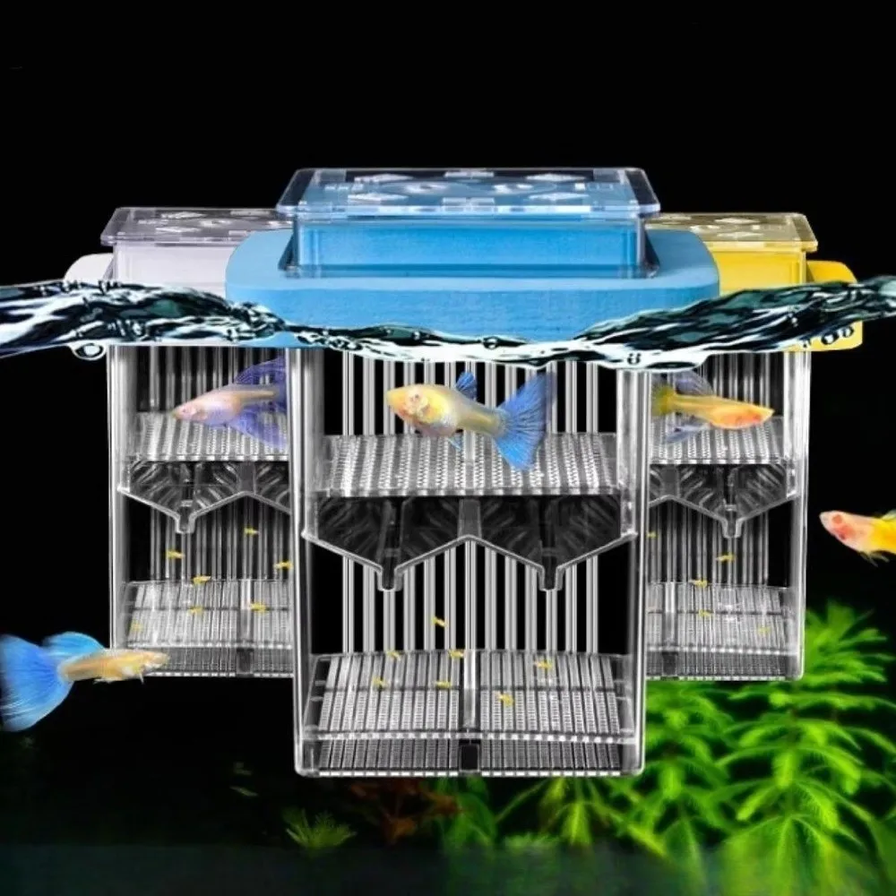 Caixa Transparente para Criação de Guppies, Divisória Removível para Aquário, Previne Fuga, Viveiro Permeável para Peixes