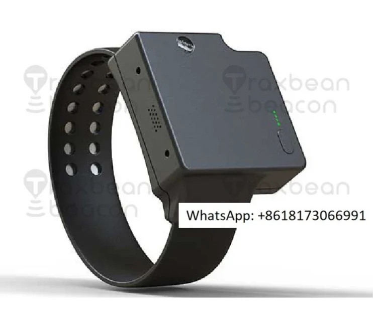 Corrective anti disassembly wristband watch backend control electronic wristband