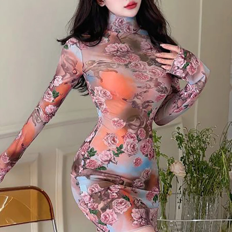 Mesh See Through Sexy Floral Print Long Sleeve Club Party Sheath Mini Dress