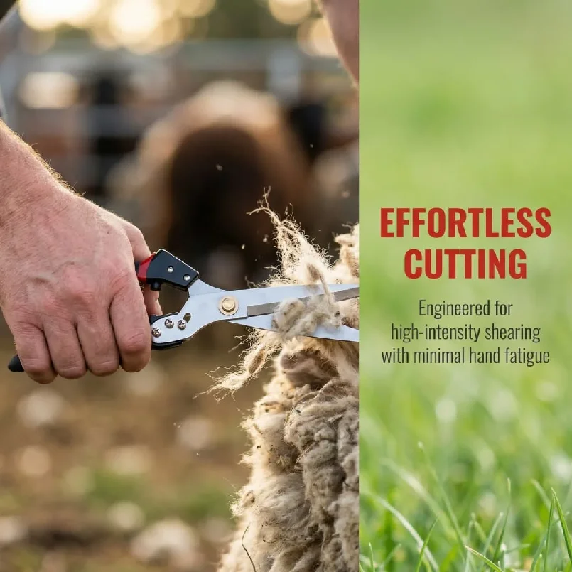 Sheep Shears Heavy Duty, Forged Steel Spring-Loaded Wool Cutting Scissors, Livestock Grooming Tool for Farm & Ranch