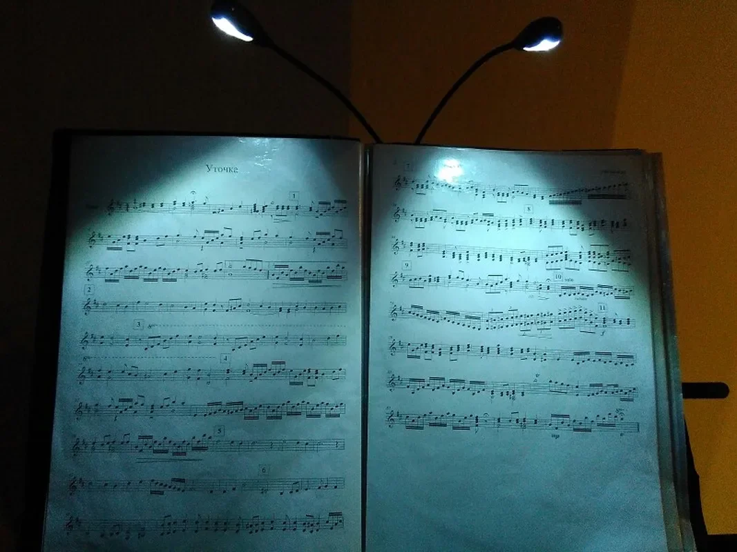 4 Led Adjustable Goosenecks Clip on LED Lamp for Music Stand and Book Reading Night Light Clip Lamp  Book Light Rechargeable