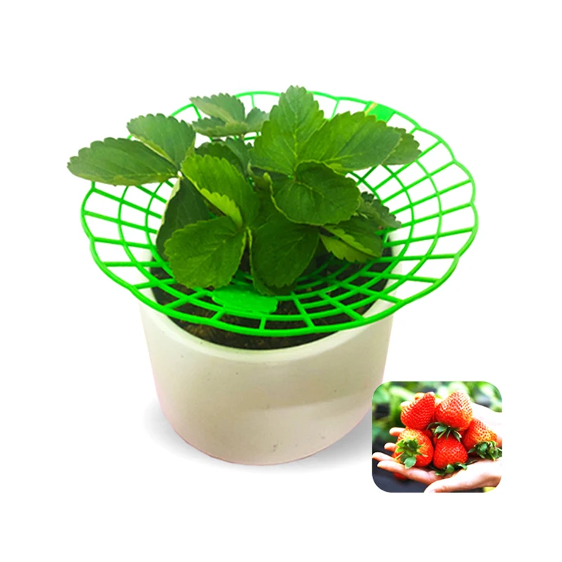 

1Pc Strawberry Supports Stand Strawberry Plant Supports Cages Climbing Trelli Strawberry Frame Plant Climbing Stand Support Tool