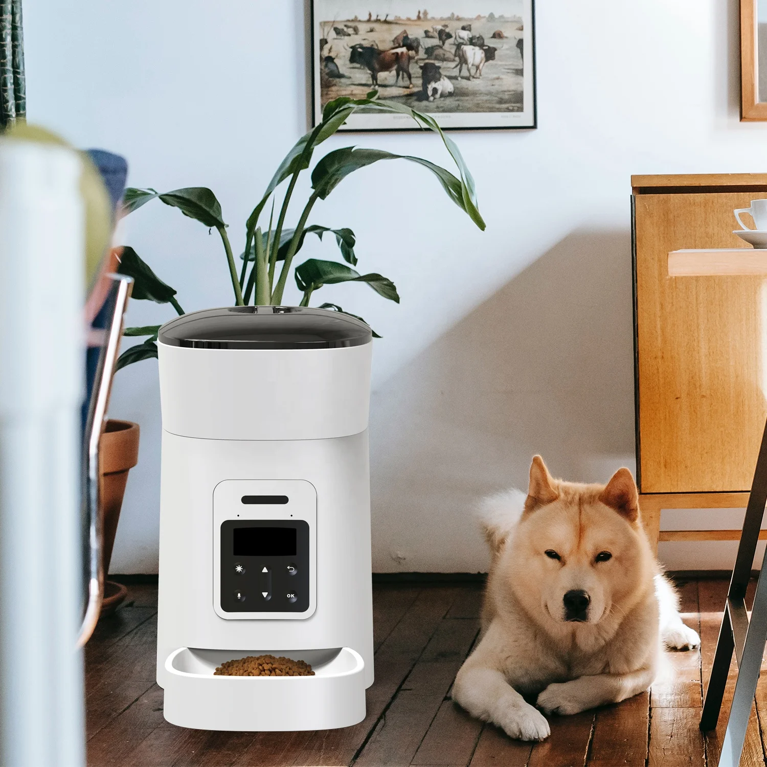 

Dropshipping Smart Dog Pet Timed Feeder Dry Food Dispenser With Voice Reminder Automatic Cats Food Feeder