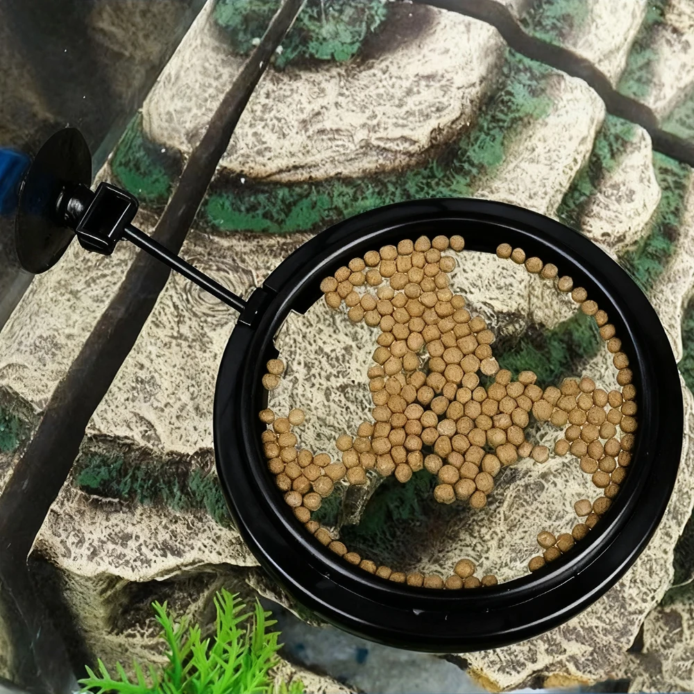 Кольцо для кормления аквариумн – обзор и цена Aquarium Fish Medicine