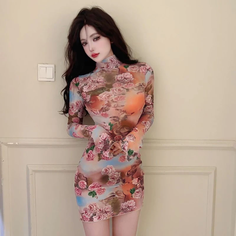 Mesh See Through Sexy Floral Print Long Sleeve Club Party Sheath Mini Dress