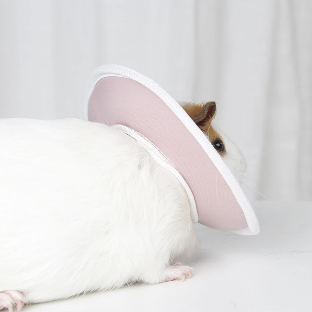 

Pet Elizabeth Ring for Small Breeds After injury Protection Safe Durable Neck Collar Dog Supplies Guinea Pigs Accessories
