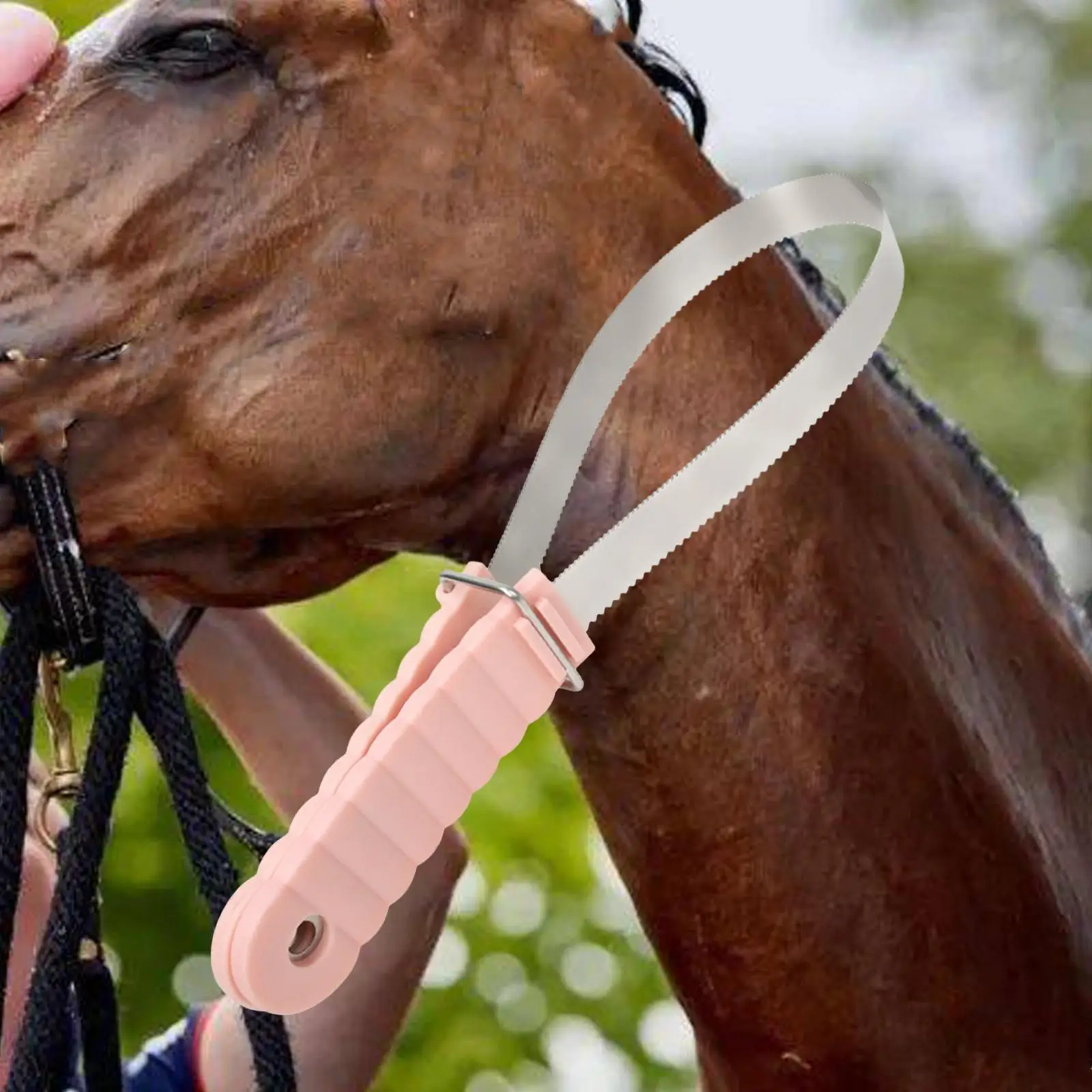 Metal Horse Brush Blade, Derramamento Tool, Curry Combo Blade para Animais Pecuária Gado e Todos os Tipos