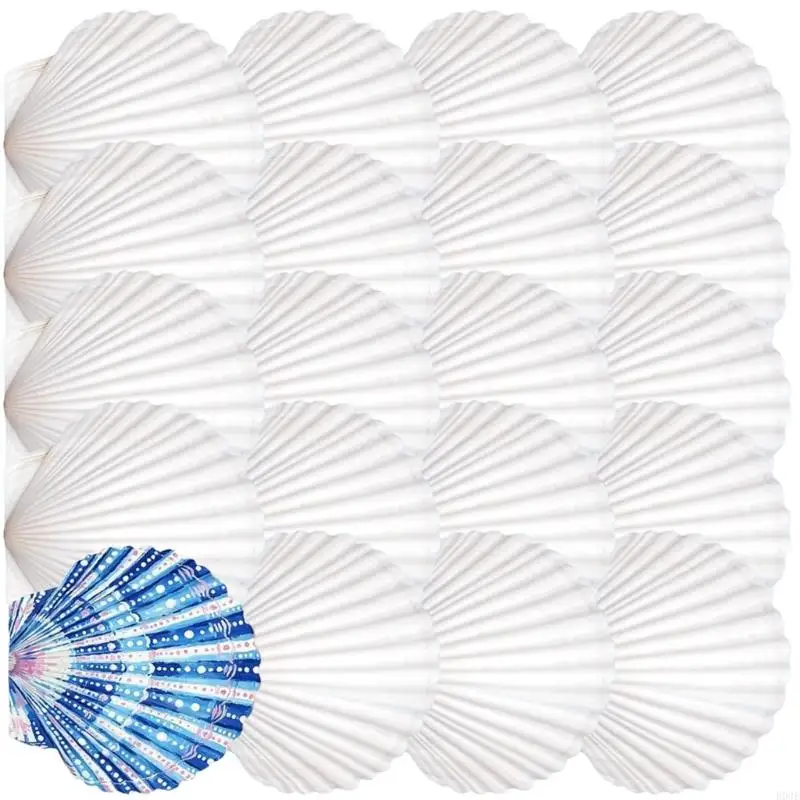 20 Stück natürliche weiße Muscheln, bemalbare natürliche Muscheln zum Handmalen und Kuchenbacken, Dekoration, Schule, B03E – Detail 4