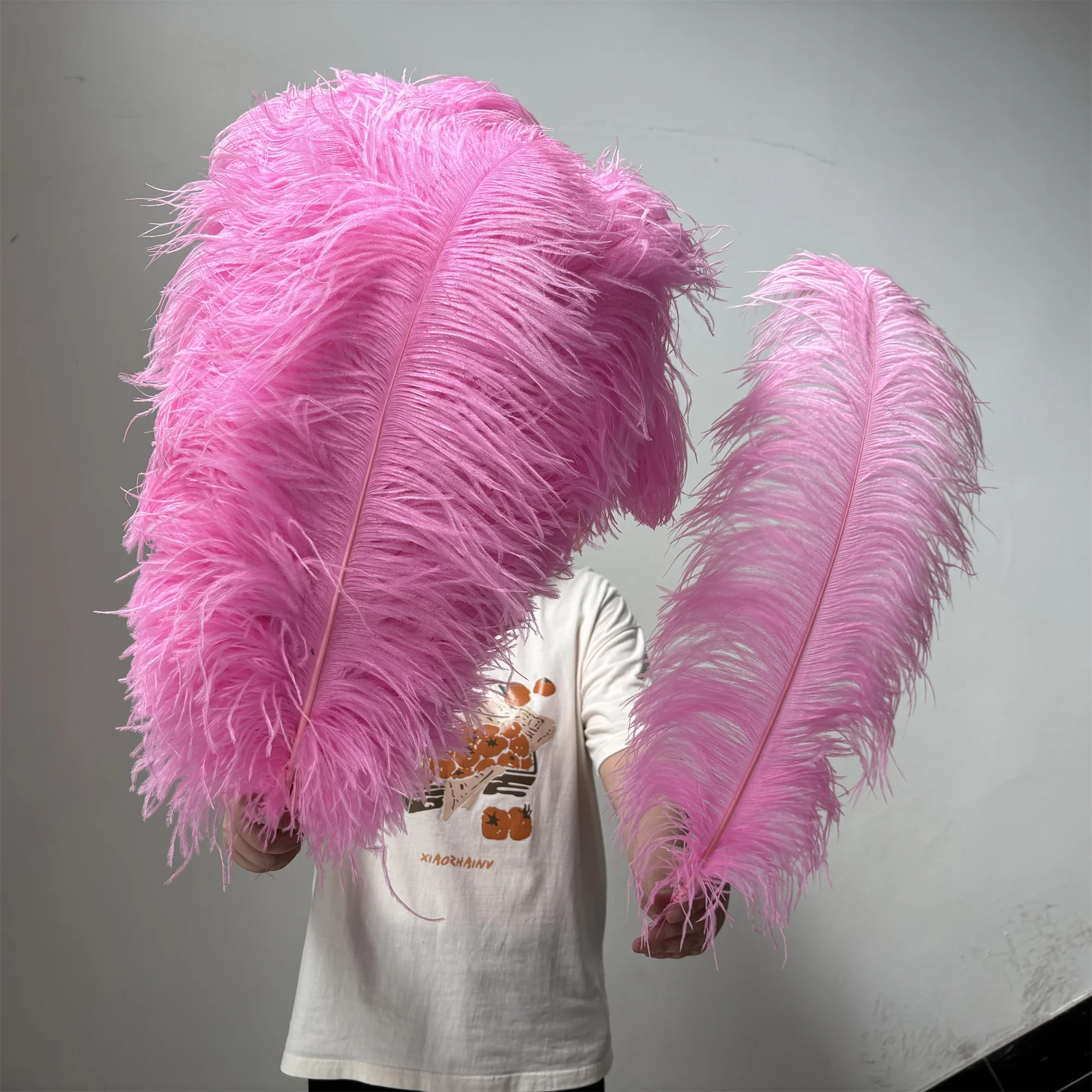 

60-75CM/24-30Inch Natural Big Ostrich Feathers 10/50PCS Fluffy Colored Feather Crafts for Carnival Garden Restaurant Table Decor