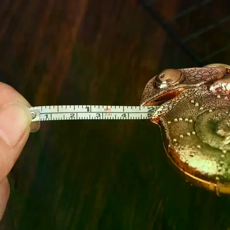 /TPz/Chameleon Tape Measure Steel Ruler With Keychain Portable Realistic Animals Pendant Measuring Tool