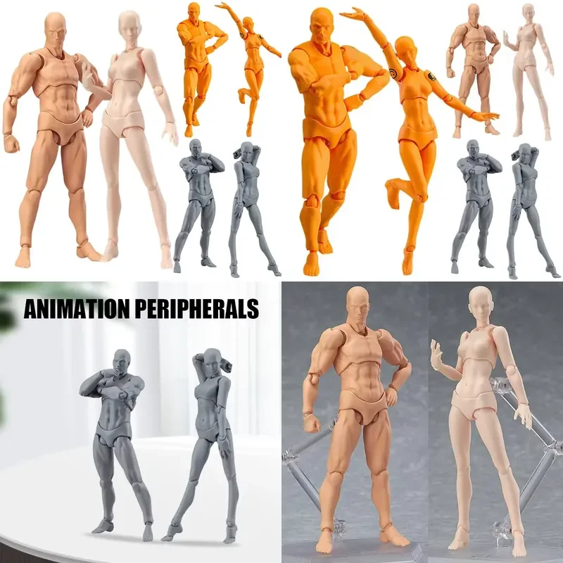 Artist Art Painting Anime Figure Sketch Draw Male Female Movable Body Chan Joint Action Figure Toy Model Draw Mannequin