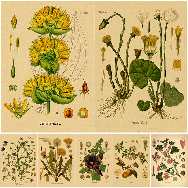 Live Plant Fertilizer - 1 pezzo di poster retrò senza