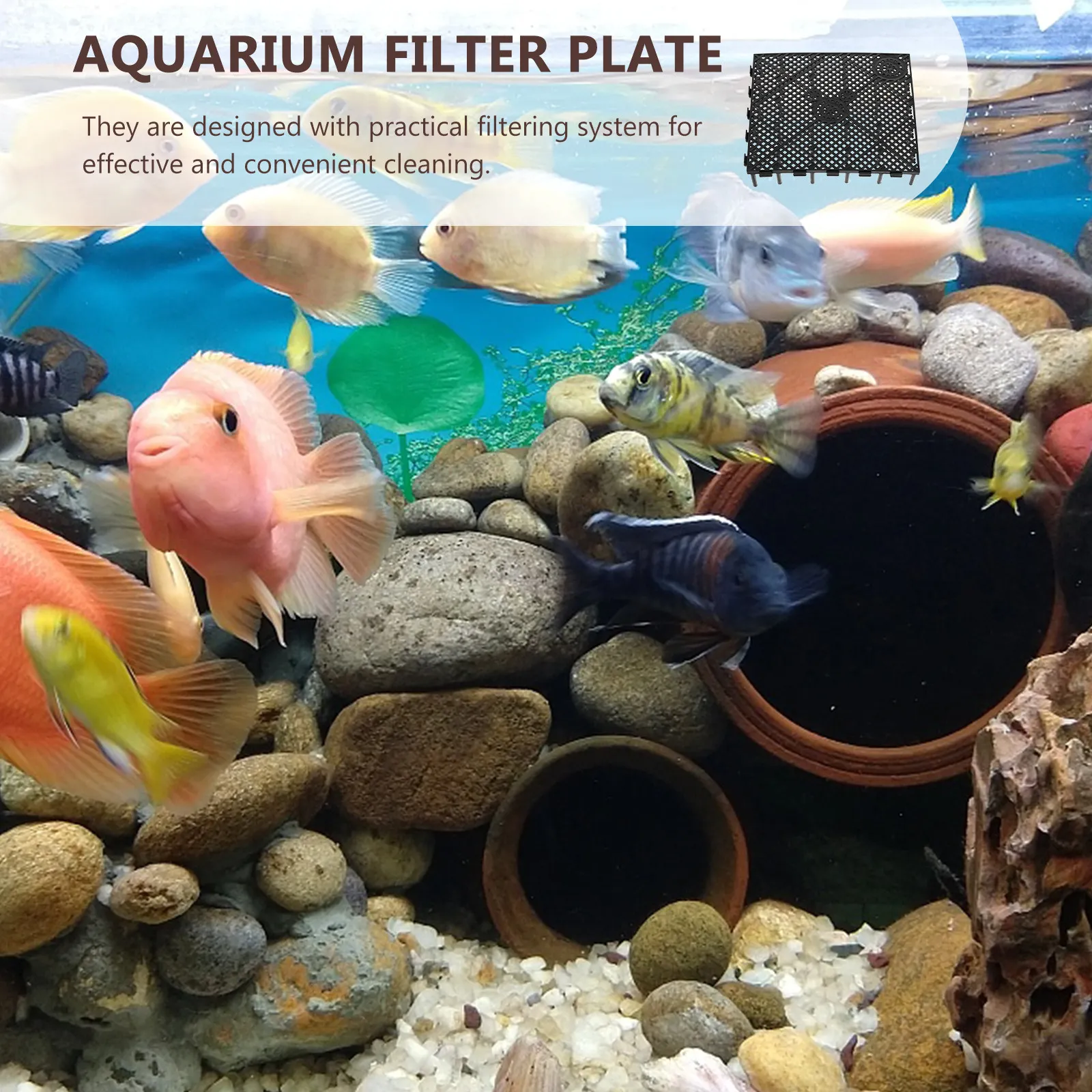 6Pcs Professional Aquarium Divider Bottom Filtration Plate Gravel Filter Board Plastic Tank Accessory Strong Support Multi-Hole