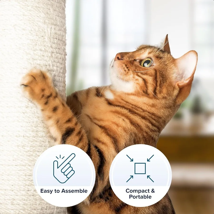 عمود خدش للقطط مقاس 19 بوصة مع أرجوحة؟ لعبة كرة معلقة على شكل شجرة قطط صغيرة من نسيج السيزال للقطط والقطط البالغة