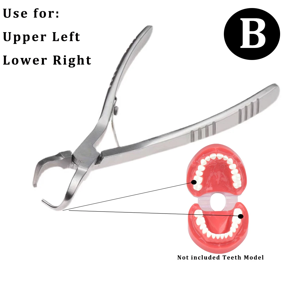 Szczypce do wyciskania korona dentystyczna szczypce do usuwania zębów szczypce do usuwania kleszczy do zębów narzędzia do chirurgii jamy ustnej