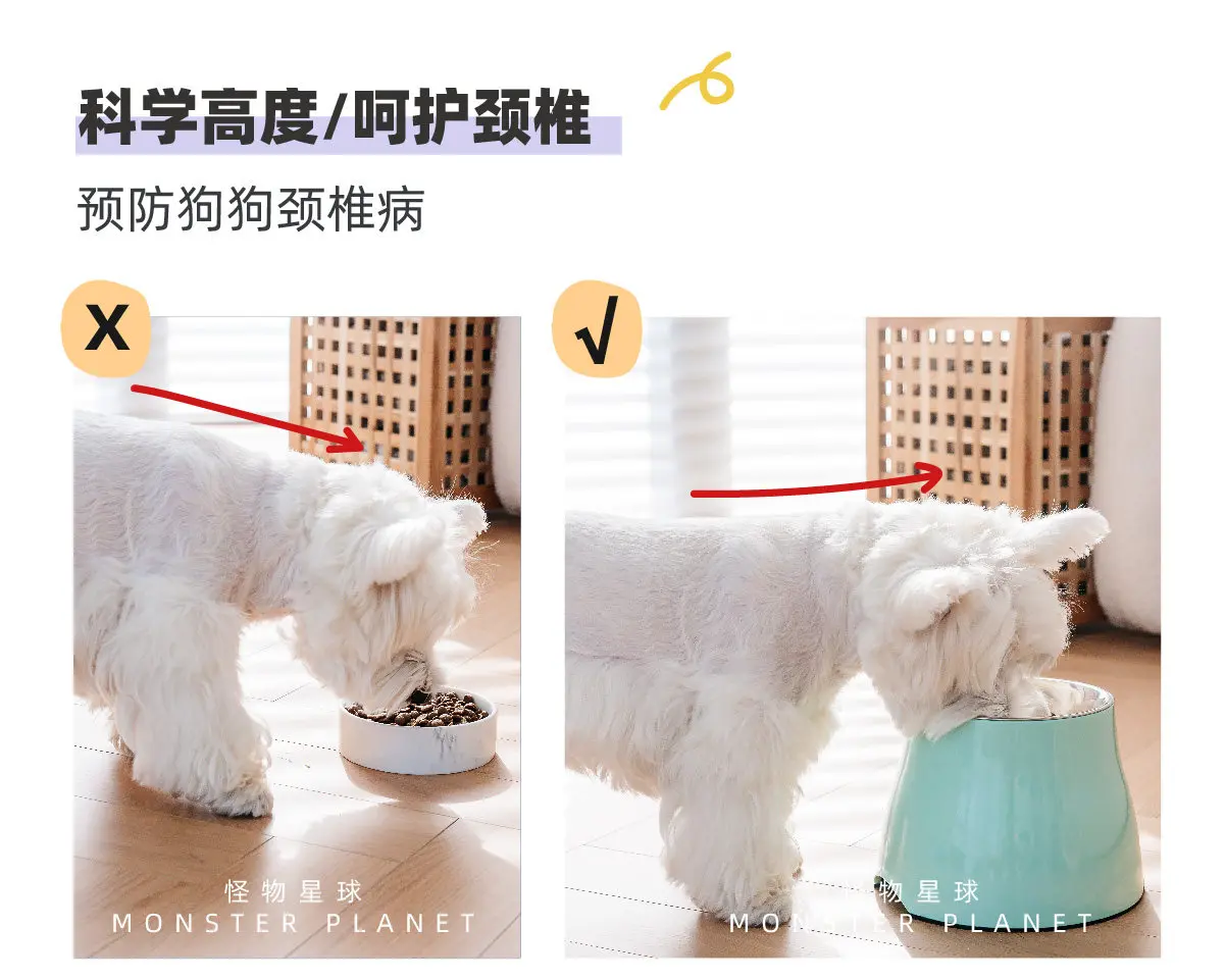 Macaron Color High Bowl Non Slip Cervical Spine Protection Stainless Steel Removable Pet Rice Bowl Water Bowl Pet Supplies