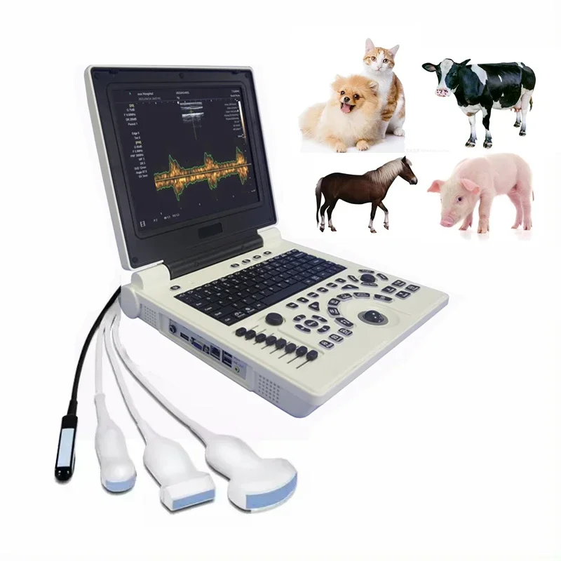 P20VET Veterinary Ultrasound 3D Image 12Inch LED Screen Animal Veterinary Notebook Vet Pet Use Ultrasound Scanner Machine