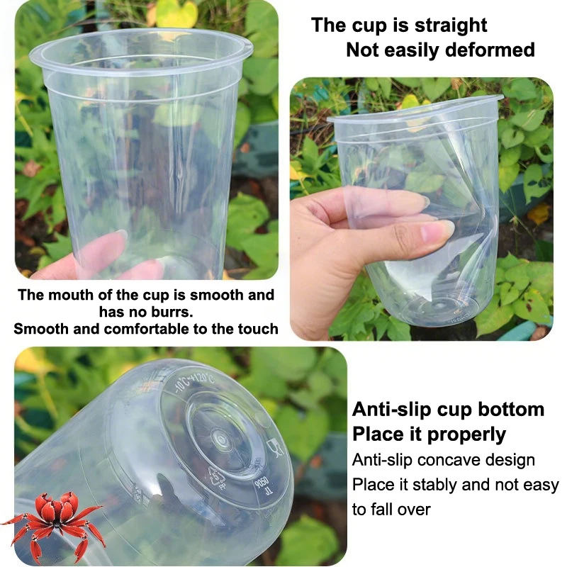 1/5Pcs Visible Clear Germination Cup Transparent Plastic Nursery Growing Box Indoor Garden Greenhouse Seed Starter Tray Gift
