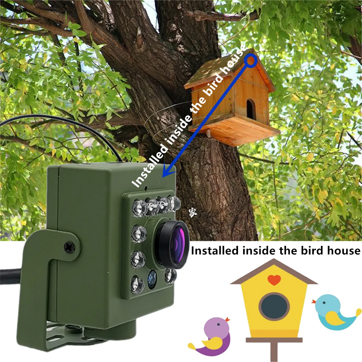Bird Watching Camera Wireless Wild Wifi Bird Nest Green Box Kit 5M Wire Night Vision 5MP 2MP P2P Audio Mini IPC In the birdcage