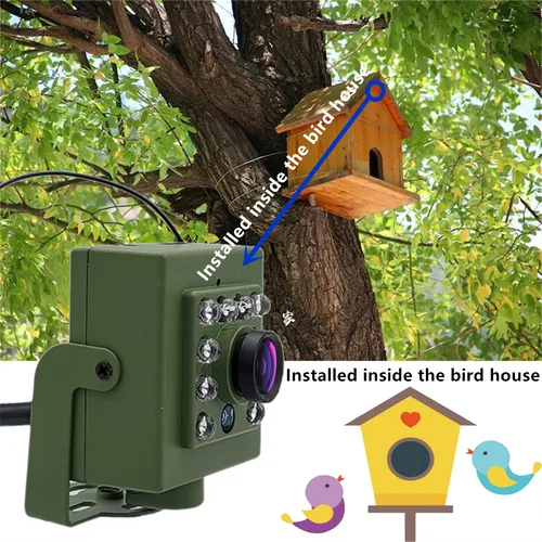Imagen 2 del producto Cámara de observación de aves inalámbrica Wifi salvaje Nido de Pájaro caja verde Kit 5M cable visión nocturna 5MP 2MP P2P Audio Mini IPC en la jaula de pájaros