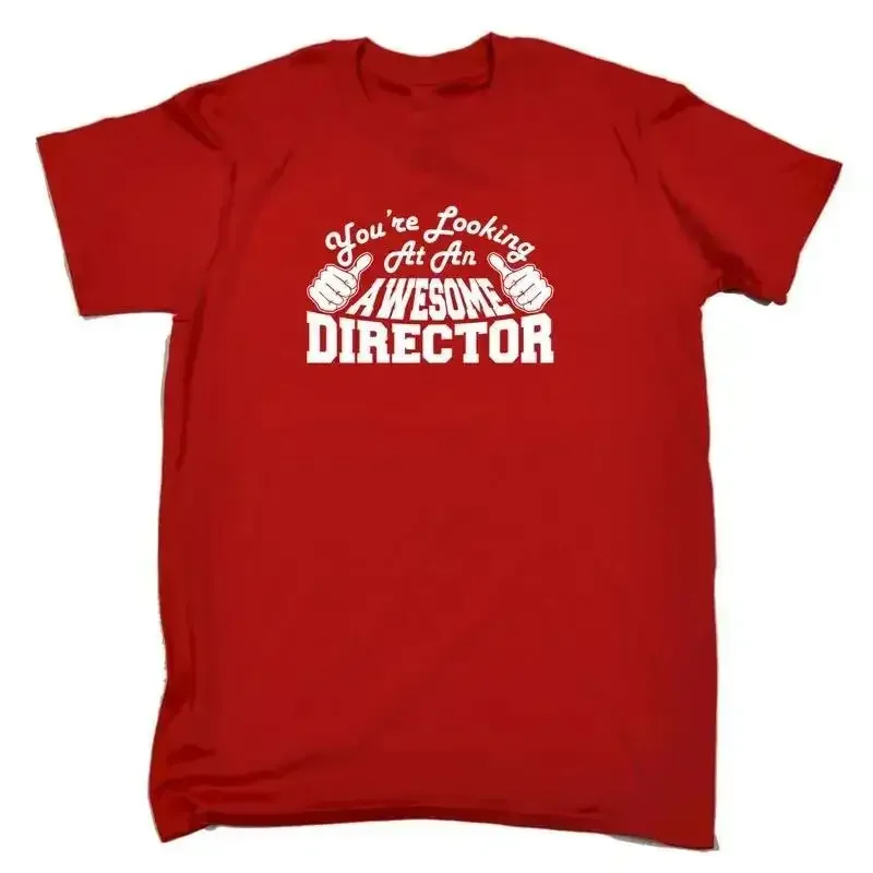 Youre Looking At An Awesome Director Mens Funny Novelty T Shirt