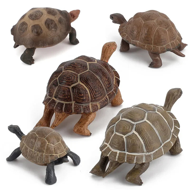 Simulation Land Tortoise Geochelone Nigra Model Action Figures Geochelone Turtles Miniacture Educational Toys Childs Adult Gifts