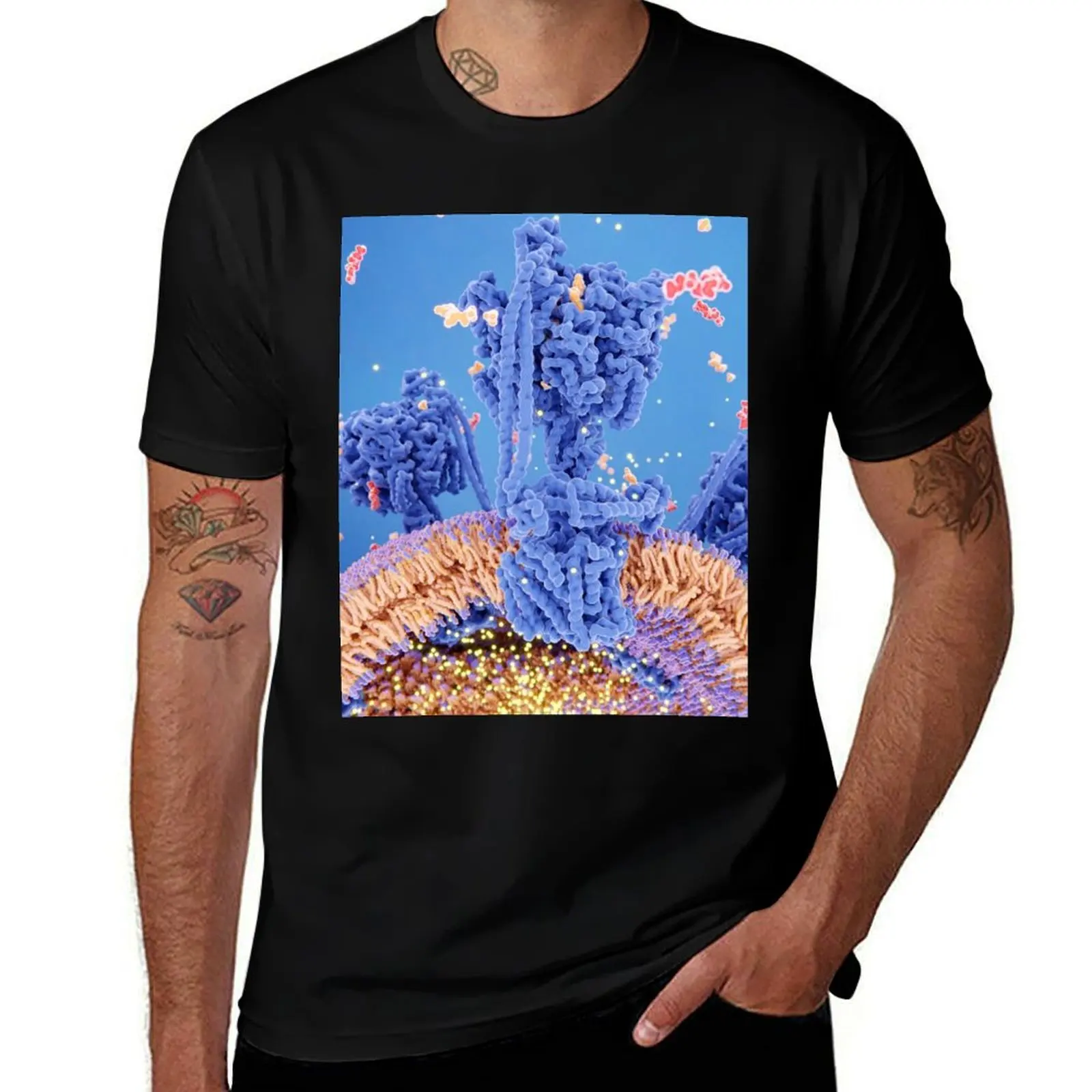

ATP synthase creating ATP, 3D Medical Biology illustration, Mitochondrion T-Shirt men t shirt cotton 100% T-Shirt