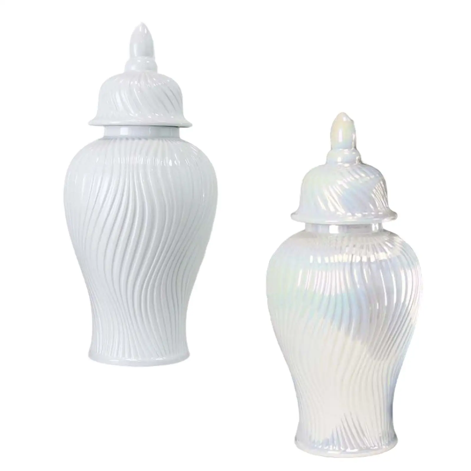 

Ceramic Ginger Jar Decorative Jar Plants Holder Multifunctional Display
