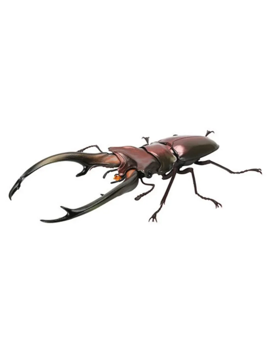 

Biographical Analysis of Deer Antler Beetle and Claw Shaped Insect 07 Beetle Gacha Simulation Animal Movable Joints Figure Toys