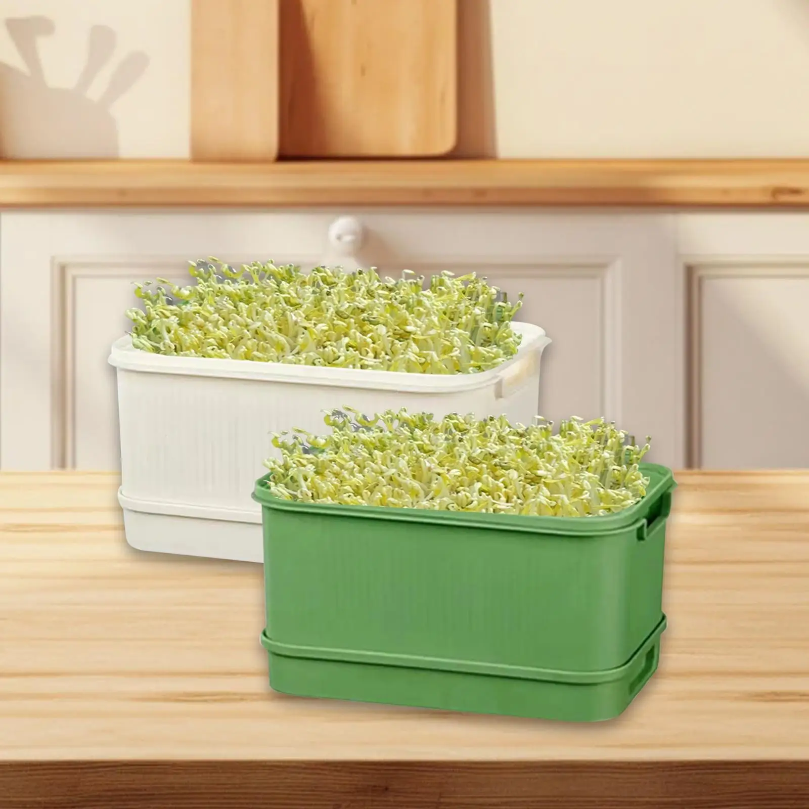 

2Pcs Sprouts Tray Gardening Tool Multiuse Large Capacity Microgreens Growing Trays Starter Tray for Outdoor Office Indoor Garden