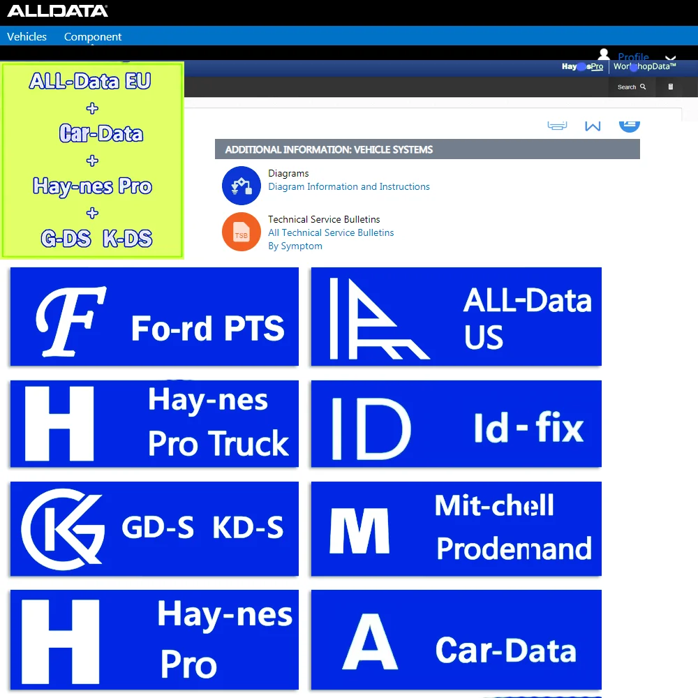 

2026 Online Account for Alldata Cardata Newest Car Repair Software for Aut0-Data All data EU Hay-nes PRO Support Mobile/PC Login