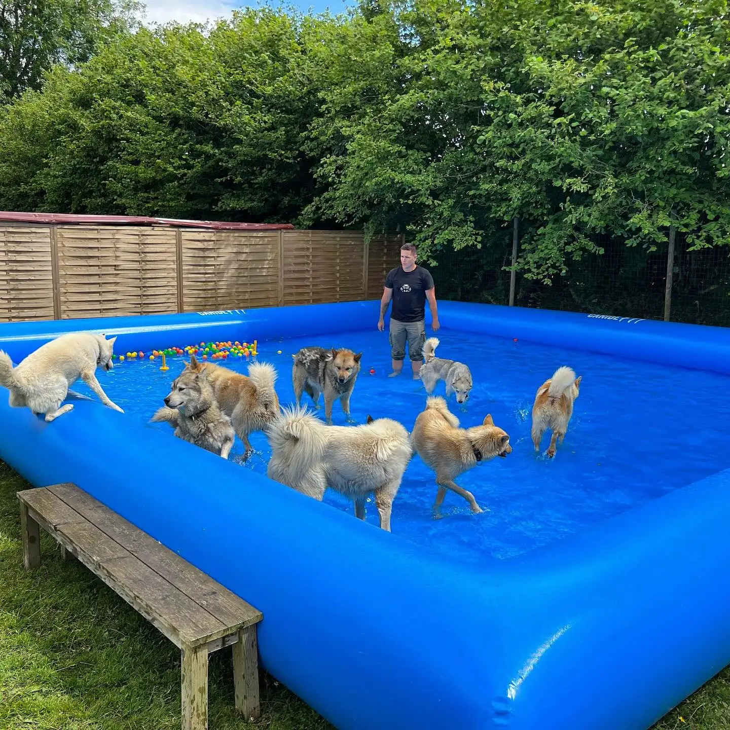 حار بيع كبير PVC الحيوانات الأليفة Airblow المياه بركة داخلي في الهواء الطلق الكلب حمام سباحة قابل للنفخ لفصل الصيف