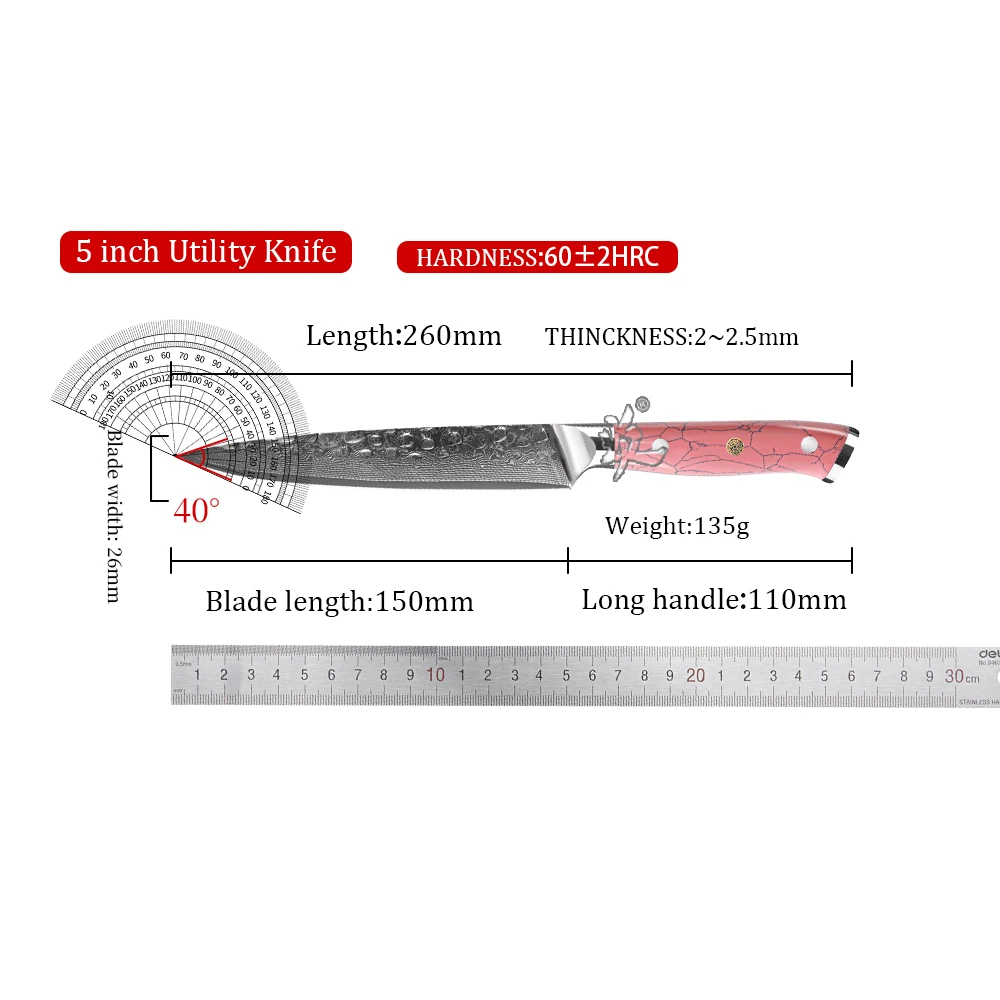 YAN Professional 5 Inch Japanese Damascus Chef Kitchen Knife AUS-10 Portable Utility Knife Pink Turquoise Resin Handle