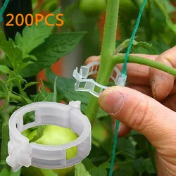 200/50Pcs Plastic Plant Support Clips Reusable Plant Vine Protection Grafting Fixing Tool For Vegetable Tomato Garden Supplies