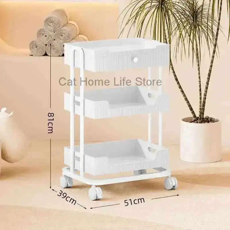 

Makeup Box Trolley Salon Styling Station Beauty Cart Tray Wheels Professional Manicure 3-speed Dental Tool Storage 2-tier Barber