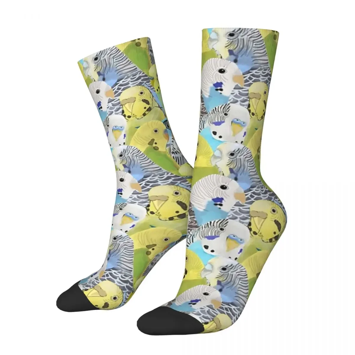 Budgie Parakeets Socks Harajuku High Quality Stockings All Season Long Socks Accessories for Unisex Birthday Present