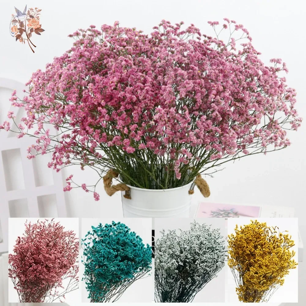الطبيعية المحفوظة كريستال العشب الملونة المجففة زهرة باقة الزفاف ديكور الأبدية عاشق الزهور البوهيمي ديكور المنزل DIY بها بنفسك