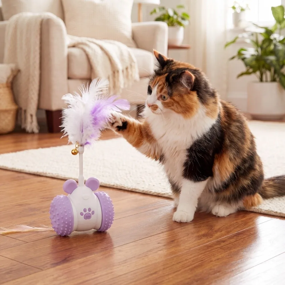 2 Play Mode Automatic Mouse Car Cat Intelligent Obstacle Avoidance USB Rechargeable Electric Racing Car Cat