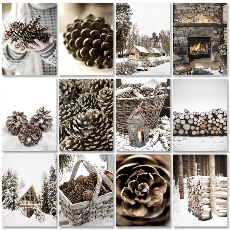 

GATYZTORY Modern Painting By Numbers Winter Landscape Pinecone Acrylic Paints Gift Handiwork Wall Decors Simple Black And White